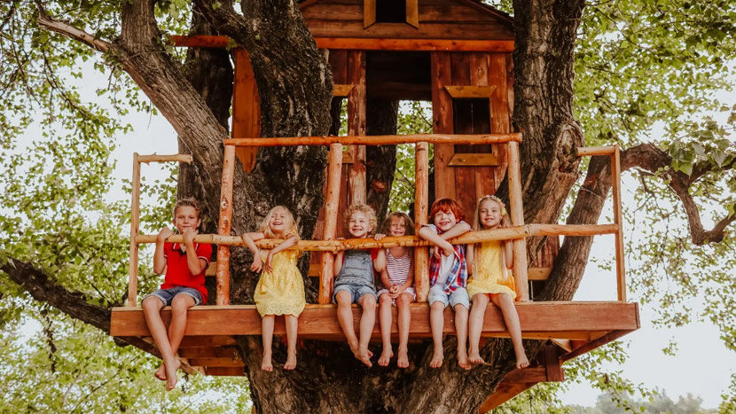 строим дом на дереве с детьми