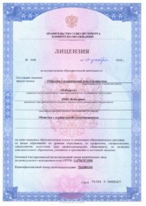 санкт-петербург Фрунзенский район бебидрим лицензия